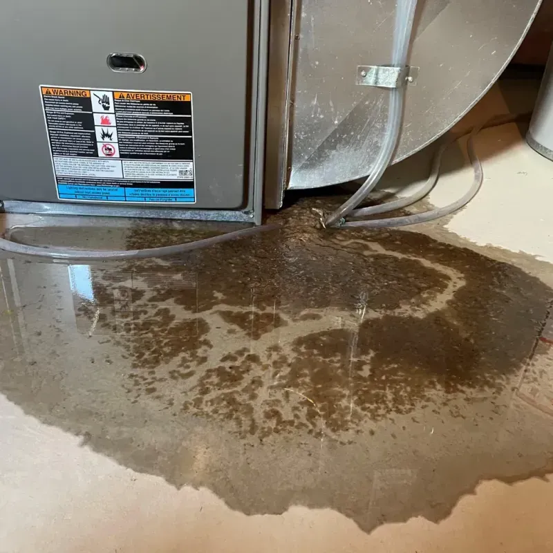 Appliance Leak Cleanup in Golden Valley, NV